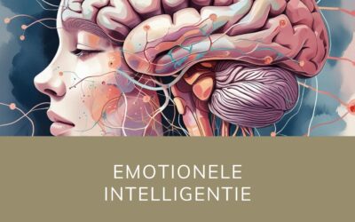 Emotionele intelligentie