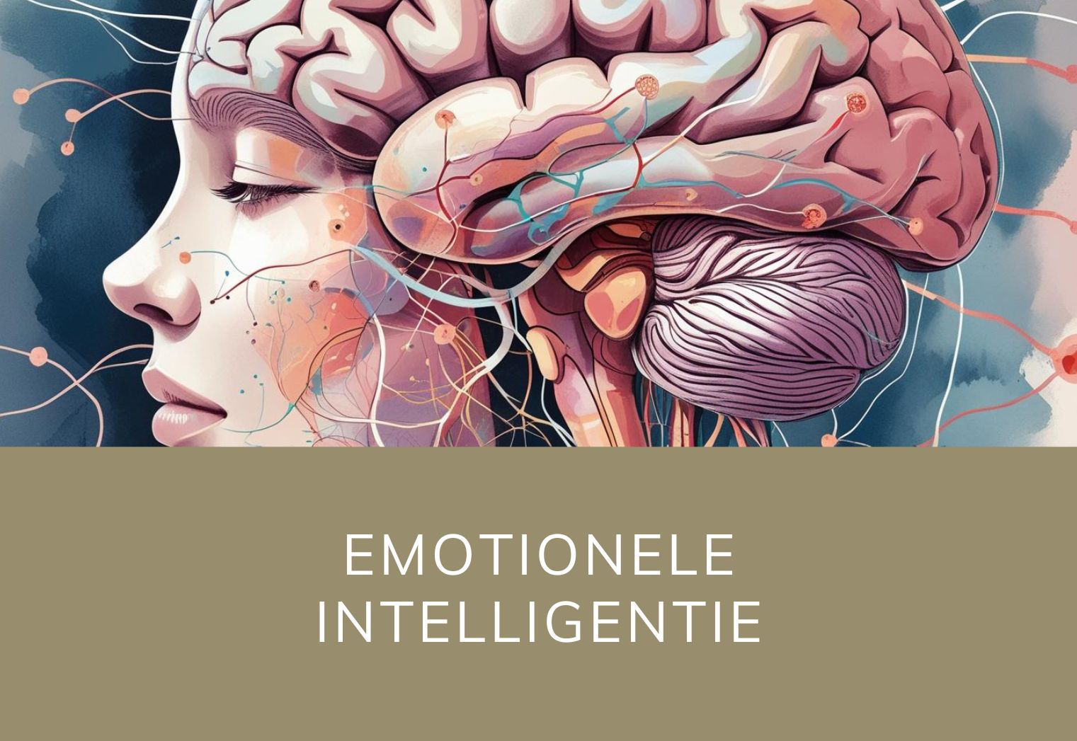 Je vermogen om emoties bij jezelf en anderen te herkennen, begrijpen en er bewust mee om te gaan.