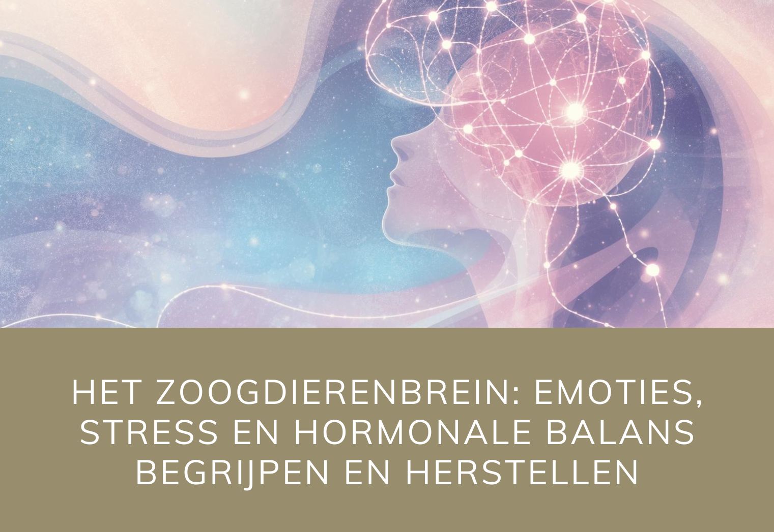 Zoogdierenbrein blog