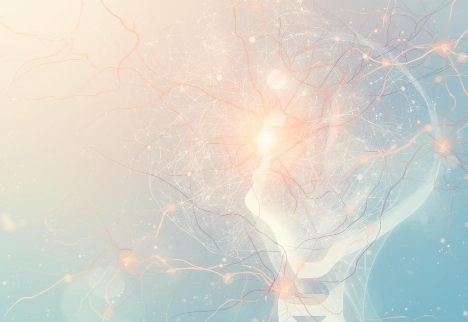 Verbindingen in het zoogdierenbrein